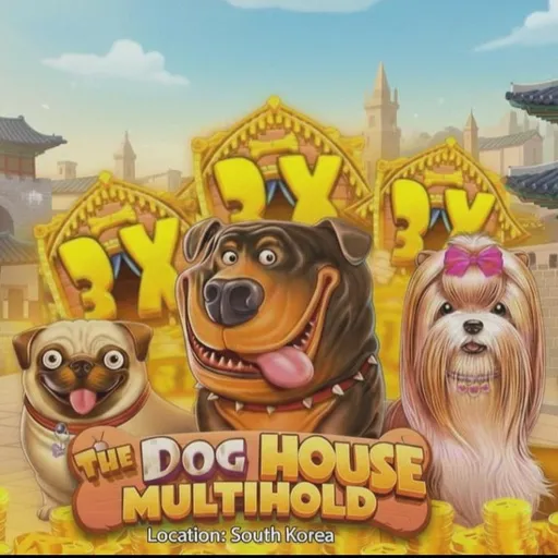 The Dog House Korea